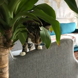 Meet your Posher, Andrea